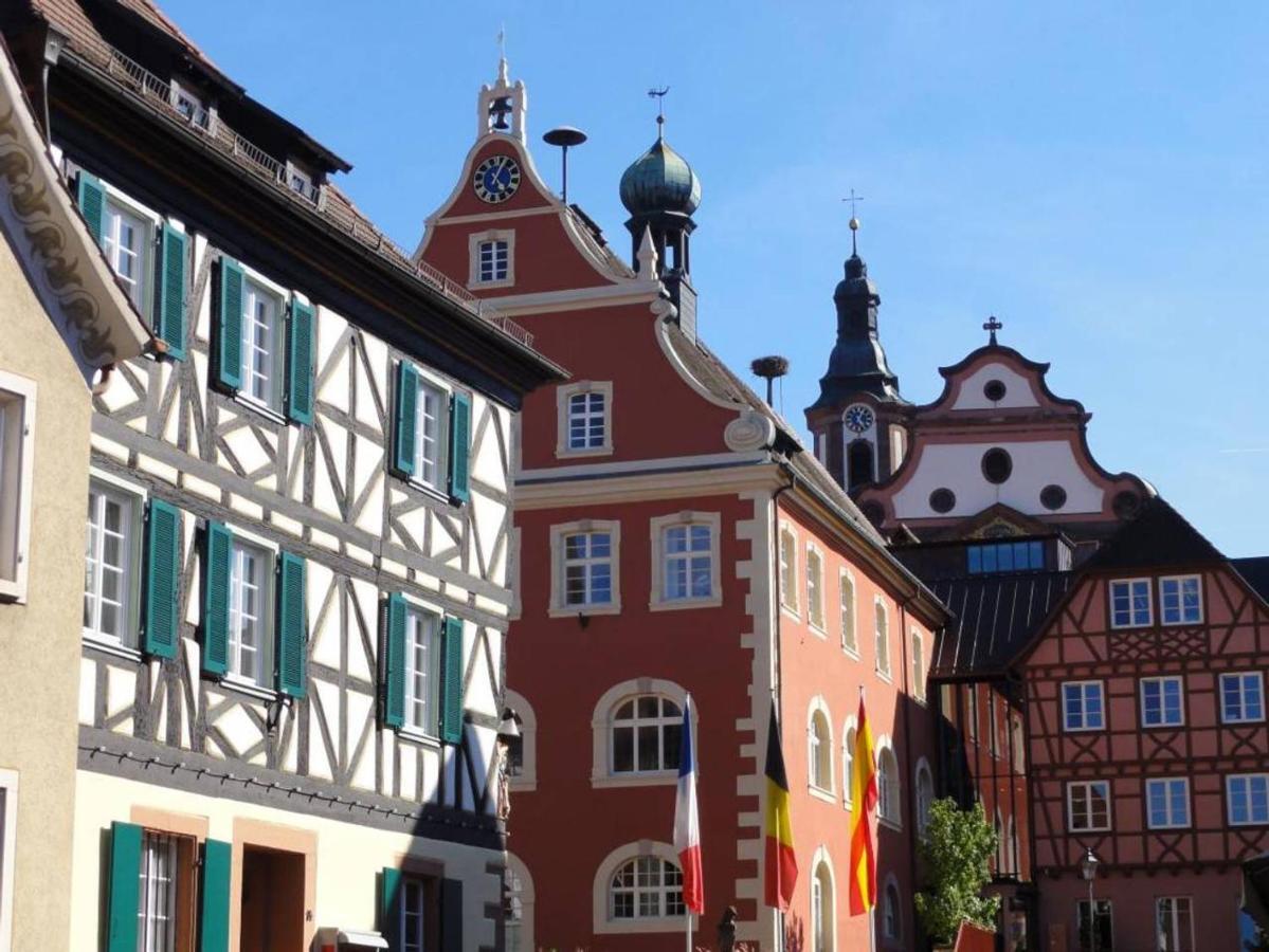 Perfekt Fuer Familien Und Gruppen Nur 10Min Vom Europapark - W6 Apartment Ettenheim Ngoại thất bức ảnh